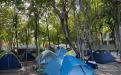 Carpas